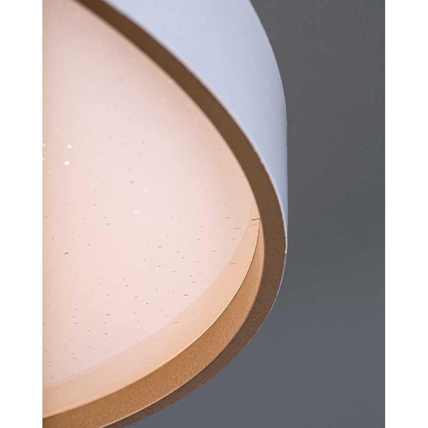 Rabalux - LED Stmívatelné stropní svítidlo LED/80W/230V 3000-6500K pr. 77 cm + dálkové ovládání
