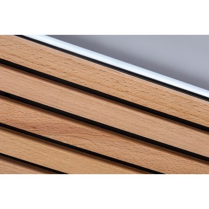 Rabalux - LED Stropní svítidlo LED/26W/230V 3000/4500/6000K