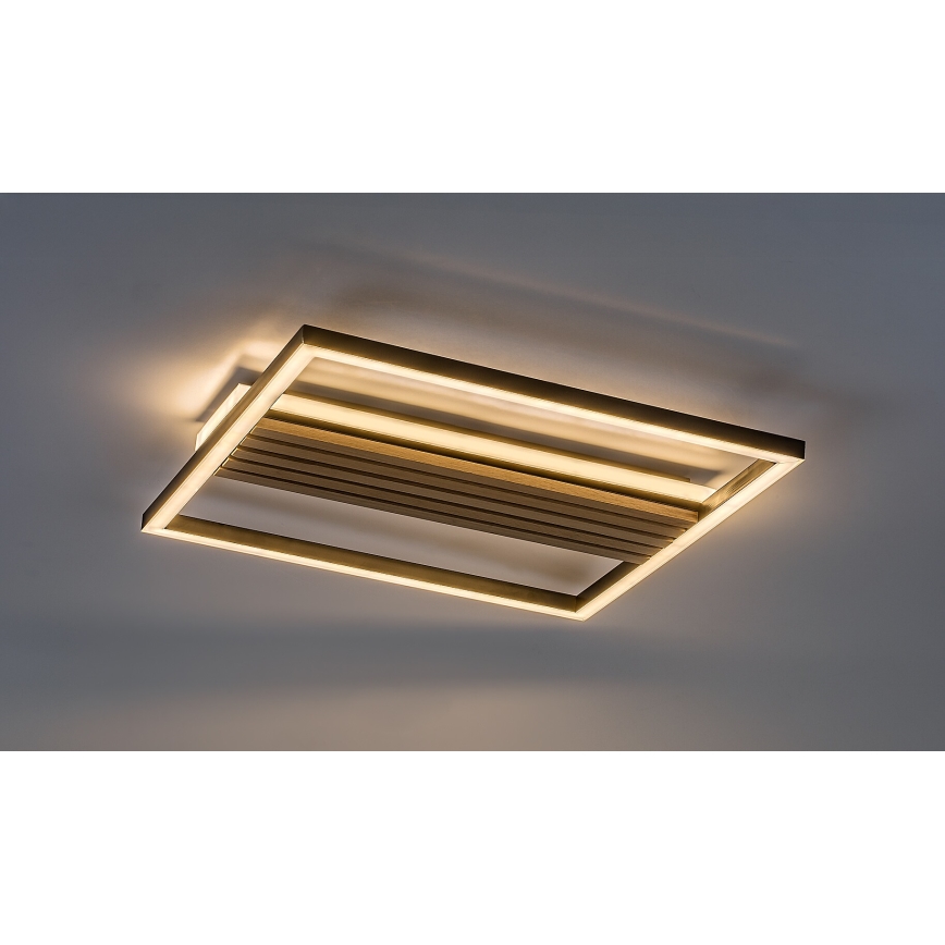 Rabalux - LED Stropní svítidlo LED/30W/230V 3000/4500/6000K