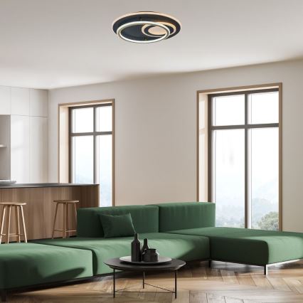Rabalux - LED Stmívatelné stropní svítidlo LED/60W/230V 3000-6000K pr. 50 cm + dálkové ovládání
