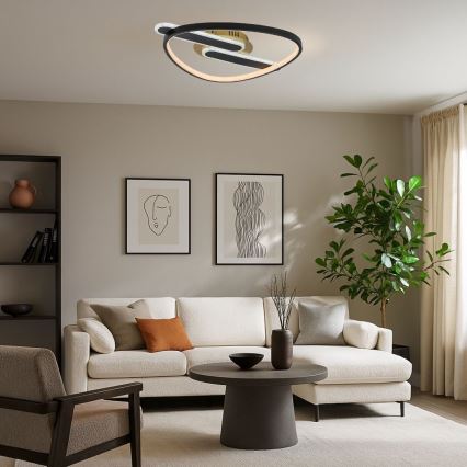 Rabalux - LED Stmívatelné stropní svítidlo LED/60W/230V 3000-6000K 53x45 cm + dálkové ovládání