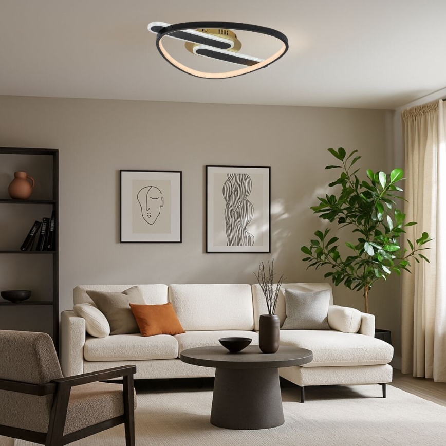 Rabalux - LED Stmívatelné stropní svítidlo LED/60W/230V 3000-6000K 53x45 cm + dálkové ovládání