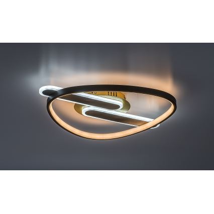 Rabalux - LED Stmívatelné stropní svítidlo LED/60W/230V 3000-6000K 53x45 cm + dálkové ovládání