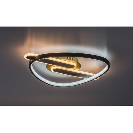 Rabalux - LED Stmívatelné stropní svítidlo LED/60W/230V 3000-6000K 53x45 cm + dálkové ovládání