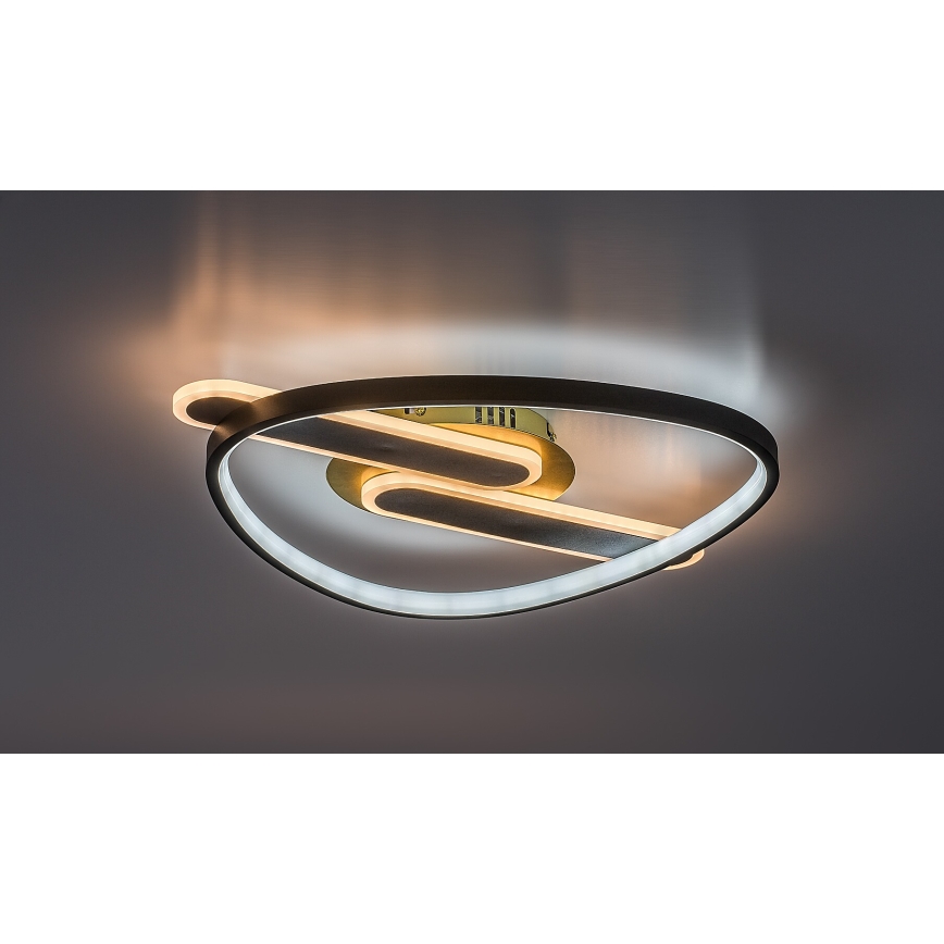 Rabalux - LED Stmívatelné stropní svítidlo LED/60W/230V 3000-6000K 53x45 cm + dálkové ovládání
