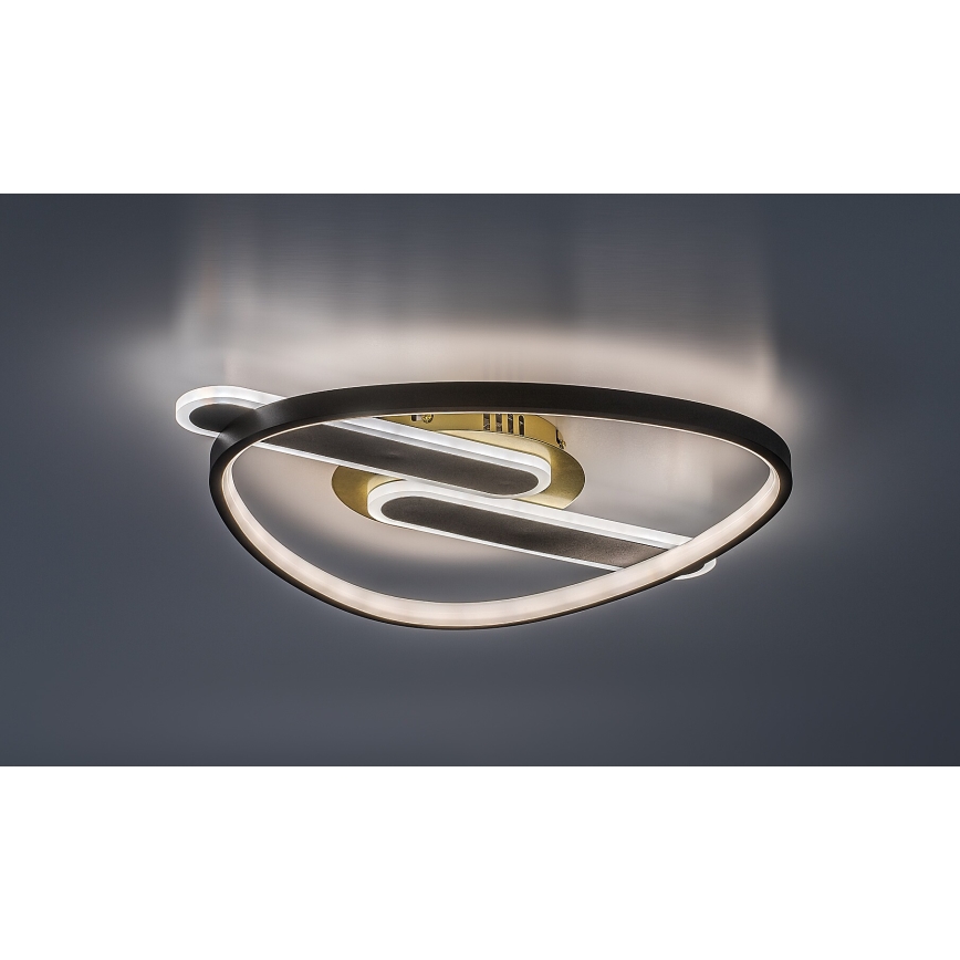Rabalux - LED Stmívatelné stropní svítidlo LED/60W/230V 3000-6000K 53x45 cm + dálkové ovládání