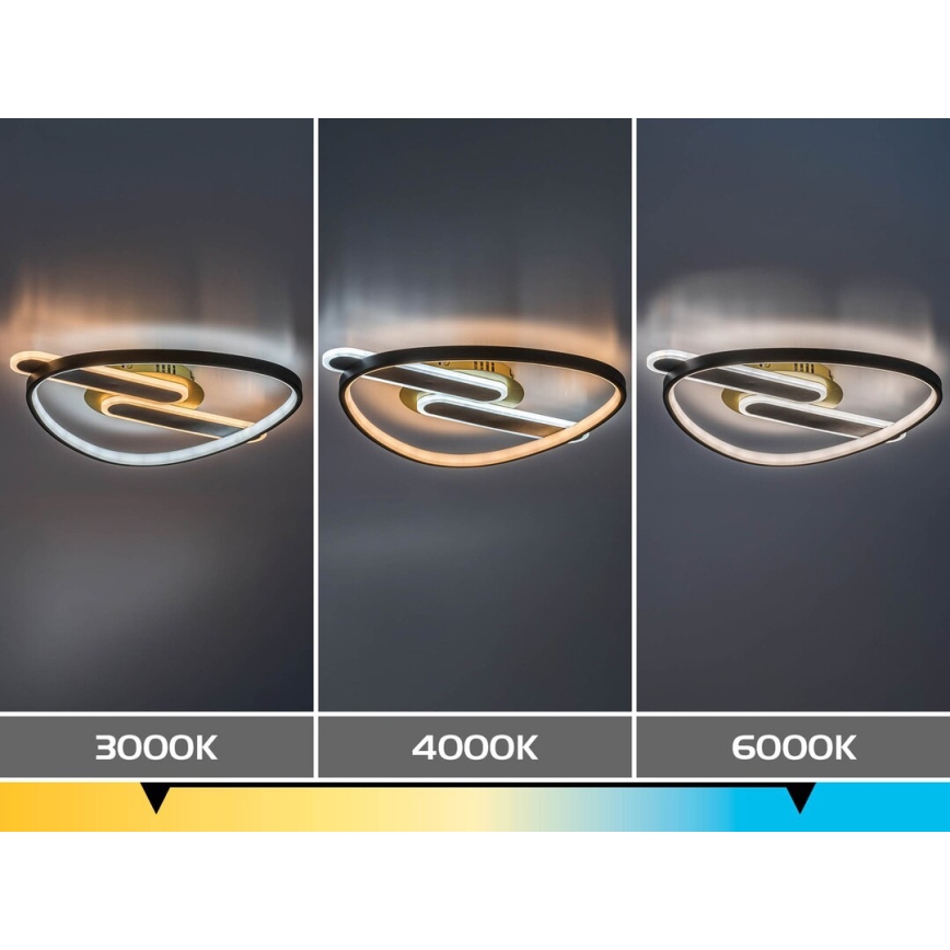 Rabalux - LED Stmívatelné stropní svítidlo LED/60W/230V 3000-6000K 53x45 cm + dálkové ovládání