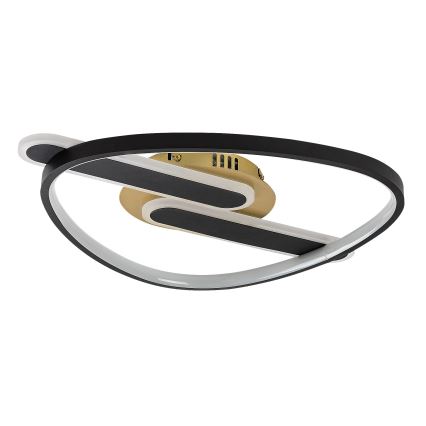 Rabalux - LED Stmívatelné stropní svítidlo LED/60W/230V 3000-6000K 53x45 cm + dálkové ovládání
