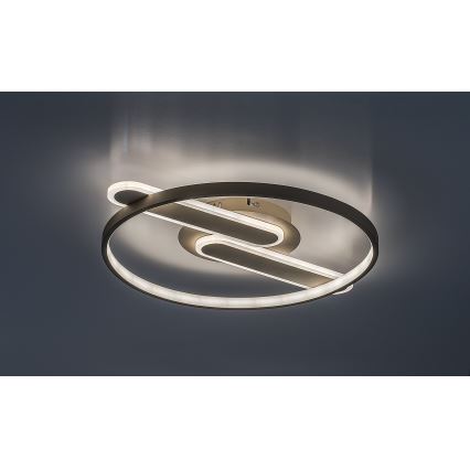 Rabalux - LED Stmívatelné stropní svítidlo LED/55W/230V 3000-6000K 53x45 cm + dálkové ovládání