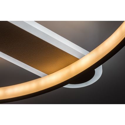 Rabalux - LED Stmívatelné stropní svítidlo LED/55W/230V 3000-6000K 53x45 cm + dálkové ovládání