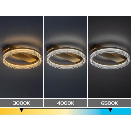 Rabalux - LED Stmívatelné stropní svítidlo LED/18W/230V 3000-6500K 37x33 cm + dálkové ovládání