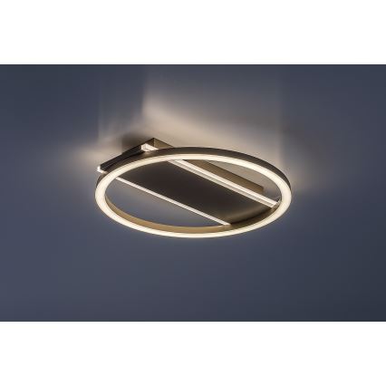 Rabalux - LED Stropní svítidlo LED/24W/230V pr. 33 cm
