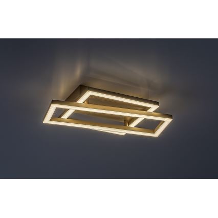Rabalux - LED Stropní svítidlo LED/24W/230V 37x22,5 cm