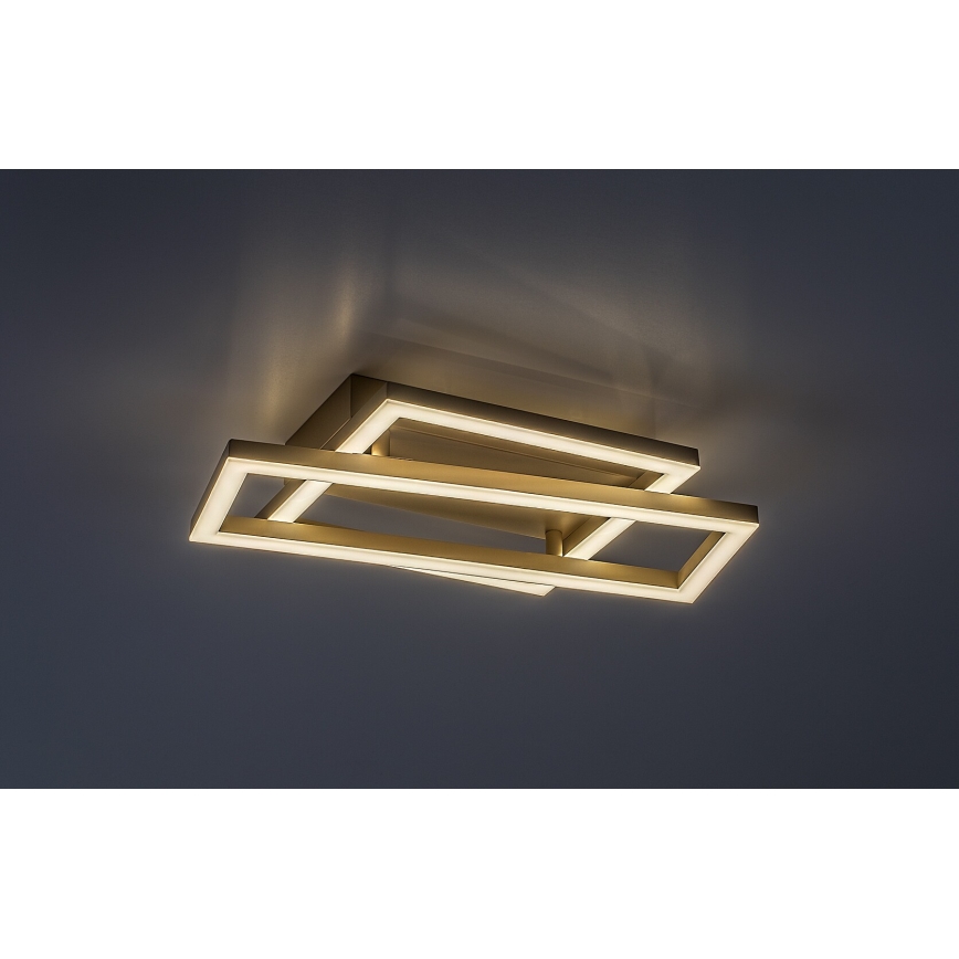 Rabalux - LED Stropní svítidlo LED/24W/230V 37x22,5 cm