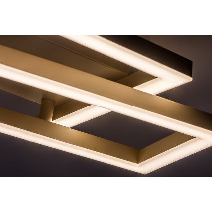 Rabalux - LED Stropní svítidlo LED/24W/230V 37x22,5 cm