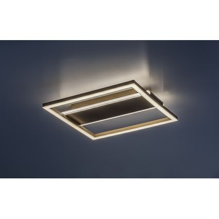 Rabalux - LED Stropní svítidlo LED/24W/230V 33x33 cm