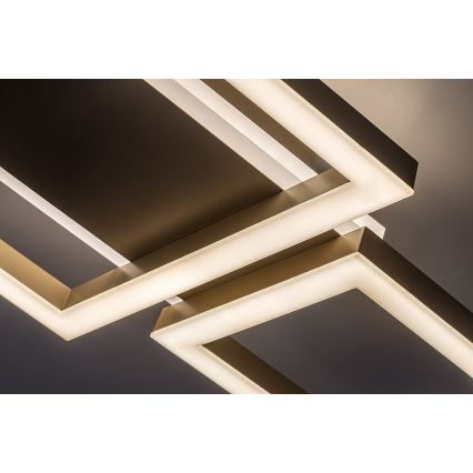 Rabalux - LED Stropní svítidlo LED/24W/230V 51,5x22 cm