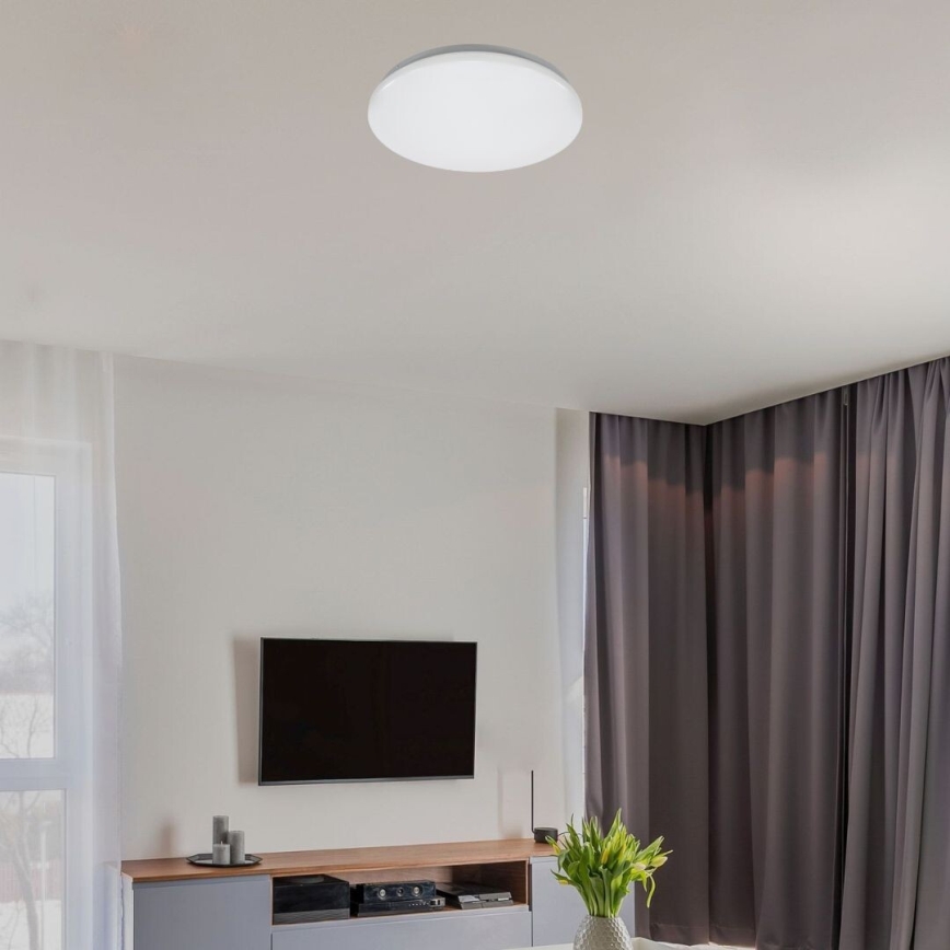 Rabalux - LED Stropní svítidlo LED/12W/230V 4000K pr. 25,5 cm