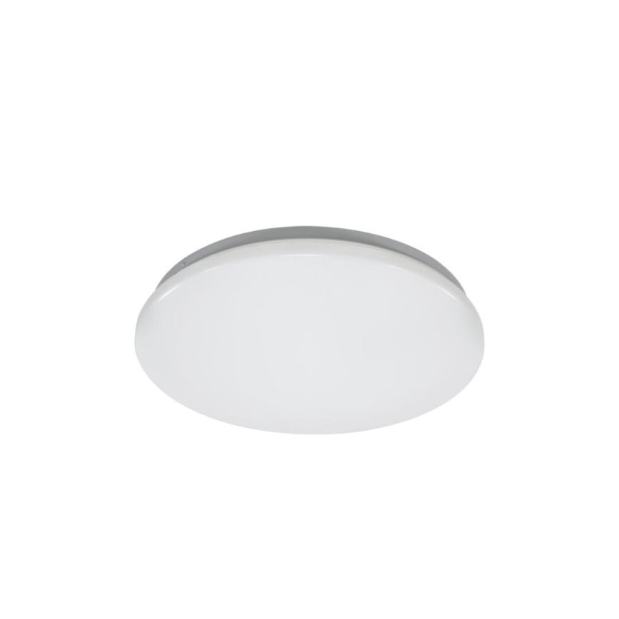 Rabalux - LED Stropní svítidlo LED/12W/230V 4000K pr. 25,5 cm