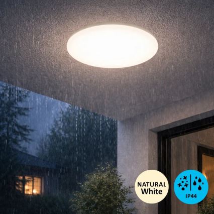 Rabalux - LED Stropní svítidlo LED/18W/230V 4000K pr. 32 cm