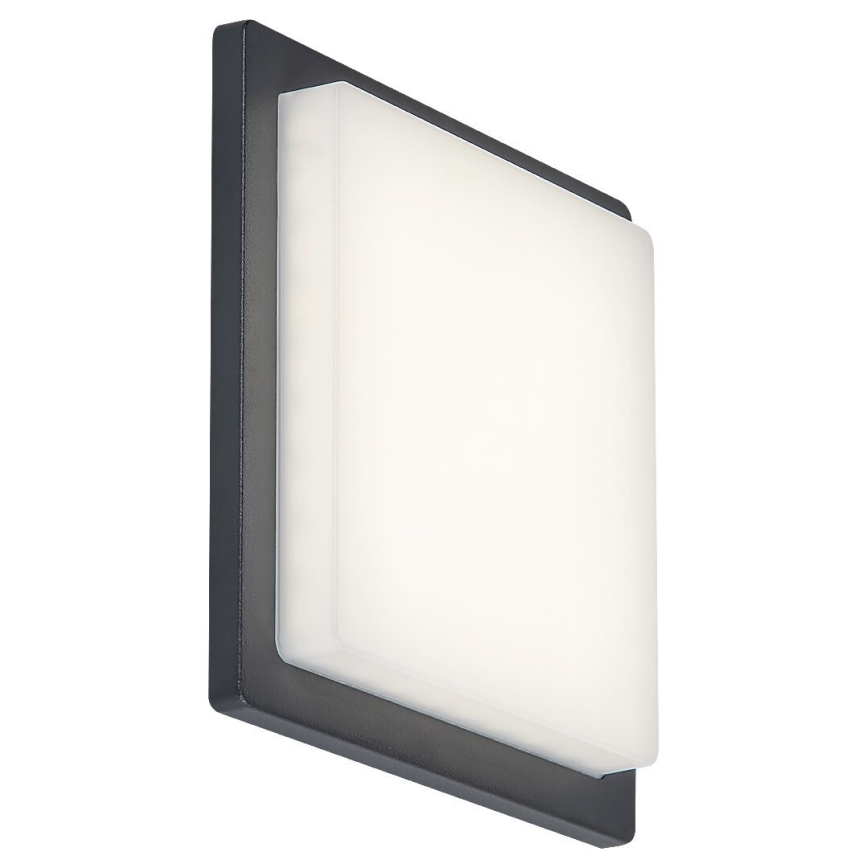 Rabalux - LED Venkovní nástěnné svítidlo LED/8W/230V IP65