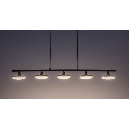 Rabalux - LED Lustr na lanku 5xLED/4W/230V 3000K