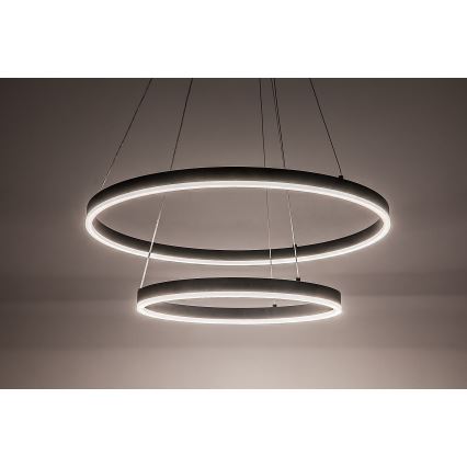 Rabalux - LED Stmívatelný lustr na lanku LED/80W/230V 3000-6500K + dálkové ovládání