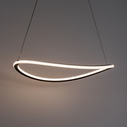 Rabalux - LED Stmívatelný lustr na lanku LED/45W/230V 3000-6500K + dálkové ovládání