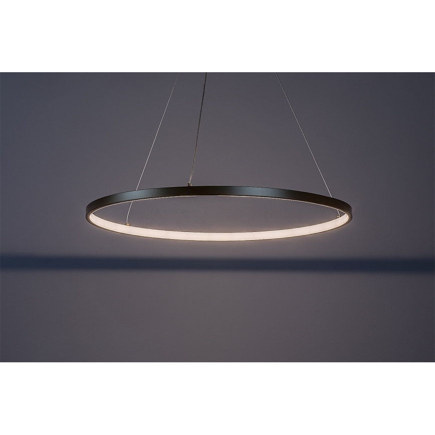 Rabalux - LED Lustr na lanku LED/55W/230V 3000K