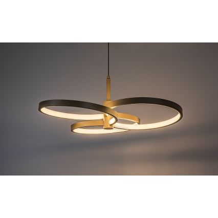 Rabalux - LED Stmívatelný lustr na lanku LED/50W/230V 3000-6500K + dálkové ovládání