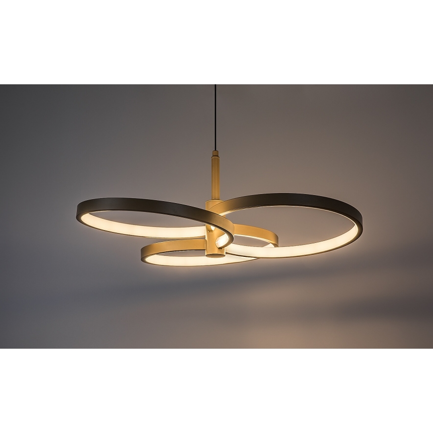 Rabalux - LED Stmívatelný lustr na lanku LED/50W/230V 3000-6500K + dálkové ovládání