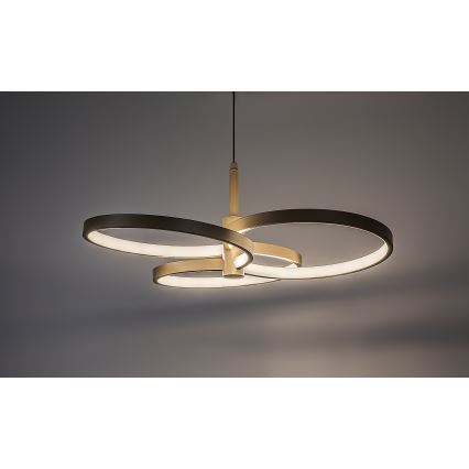 Rabalux - LED Stmívatelný lustr na lanku LED/50W/230V 3000-6500K + dálkové ovládání