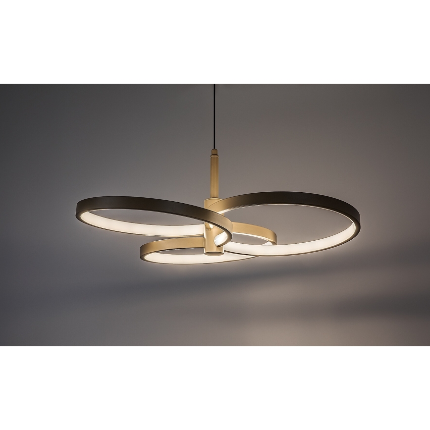 Rabalux - LED Stmívatelný lustr na lanku LED/50W/230V 3000-6500K + dálkové ovládání