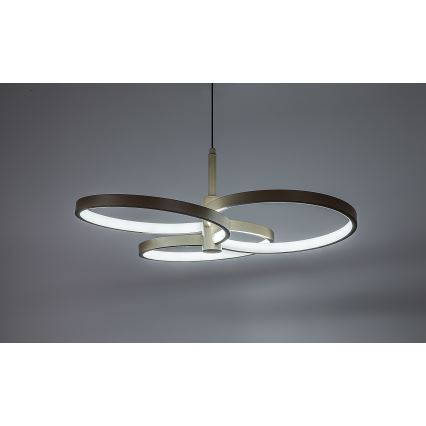 Rabalux - LED Stmívatelný lustr na lanku LED/50W/230V 3000-6500K + dálkové ovládání