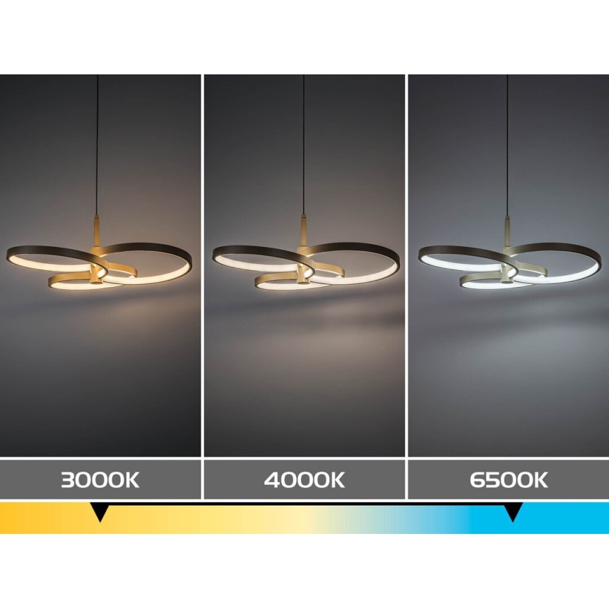 Rabalux - LED Stmívatelný lustr na lanku LED/50W/230V 3000-6500K + dálkové ovládání