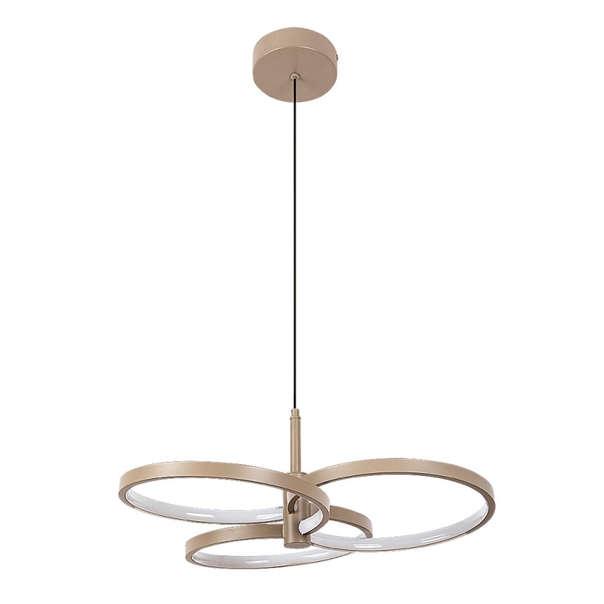 Rabalux - LED Stmívatelný lustr na lanku LED/50W/230V 3000-6500K + dálkové ovládání