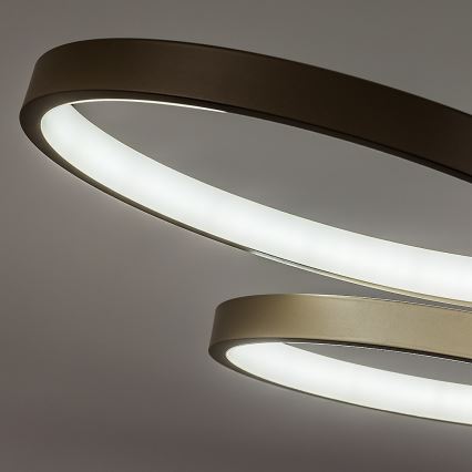 Rabalux - LED Stmívatelný lustr na lanku LED/50W/230V 3000-6500K + dálkové ovládání