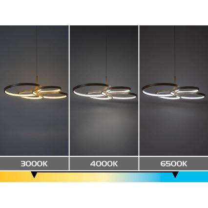Rabalux - LED Stmívatelný lustr na lanku LED/70W/230V 3000-6500K + dálkové ovládání