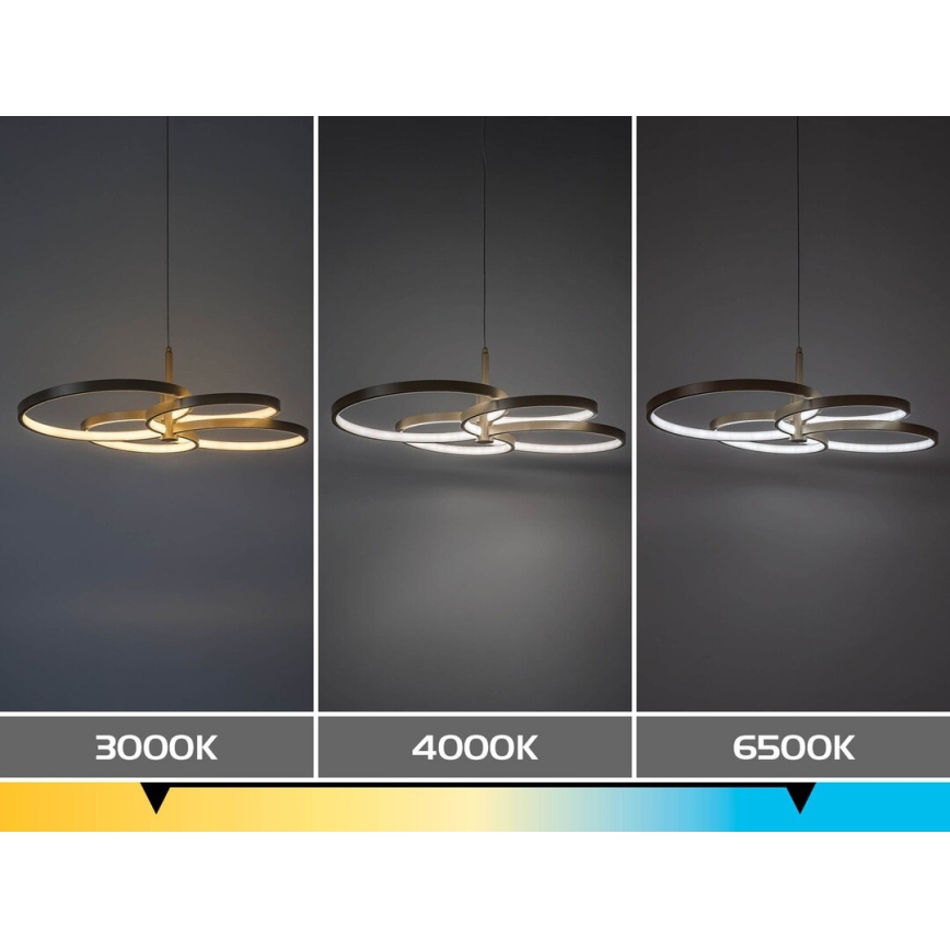 Rabalux - LED Stmívatelný lustr na lanku LED/70W/230V 3000-6500K + dálkové ovládání