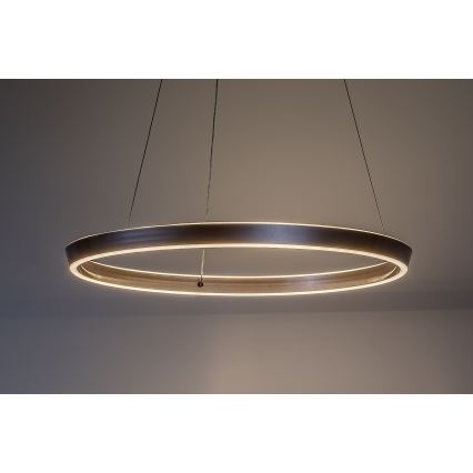 Rabalux - LED Stmívatelný lustr na lanku LED/36W/230V 3000-6500K + dálkové ovládání