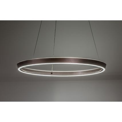 Rabalux - LED Stmívatelný lustr na lanku LED/36W/230V 3000-6500K + dálkové ovládání