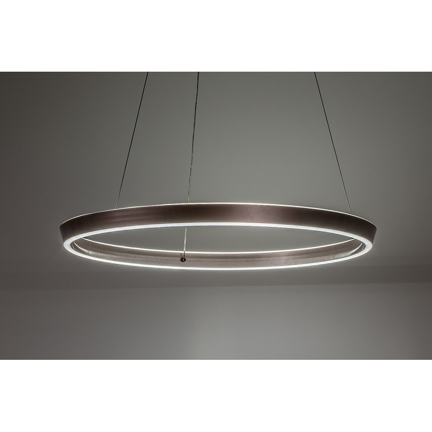 Rabalux - LED Stmívatelný lustr na lanku LED/36W/230V 3000-6500K + dálkové ovládání