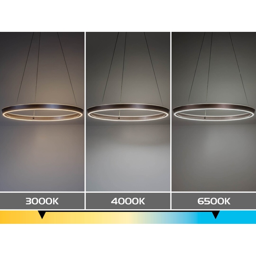 Rabalux - LED Stmívatelný lustr na lanku LED/36W/230V 3000-6500K + dálkové ovládání