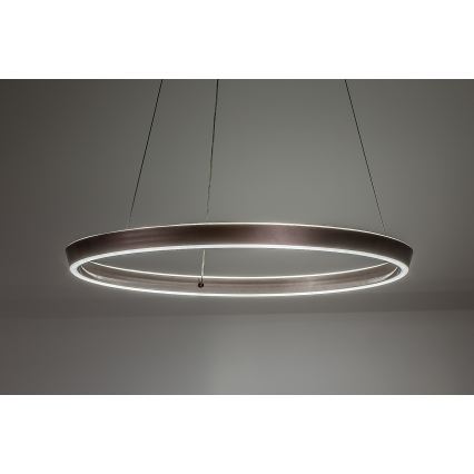 Rabalux - LED Stmívatelný lustr na lanku LED/70W/230V 3000-6500K + dálkové ovládání