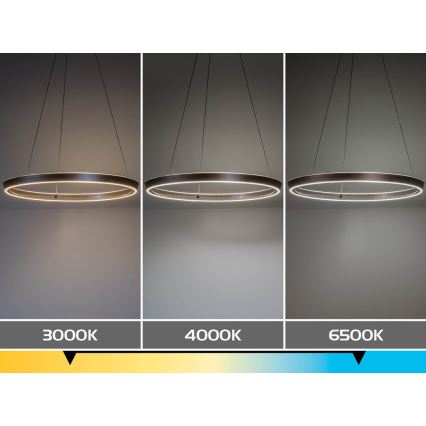Rabalux - LED Stmívatelný lustr na lanku LED/70W/230V 3000-6500K + dálkové ovládání
