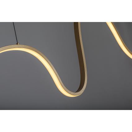 Rabalux - LED Lustr na lanku LED/20W/230V 3000K