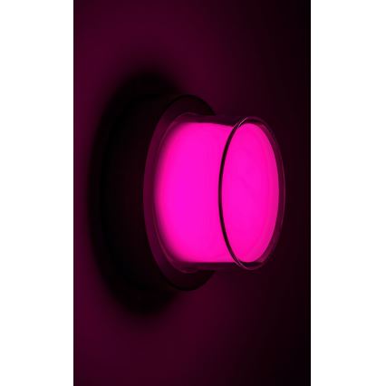 Rabalux - LED RGBW Stmívatelné venkovní nástěnné svítidlo LED/10W/230V IP54 Wi-Fi Tuya