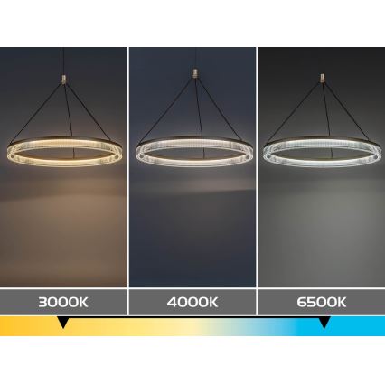 Rabalux - LED Stmívatelný lustr na lanku LED/24W/230V 3000-6500K + dálkové ovládání