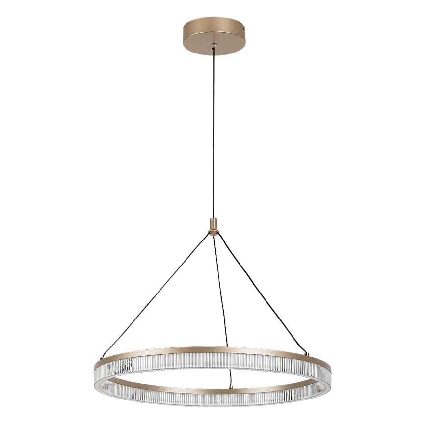 Rabalux - LED Stmívatelný lustr na lanku LED/24W/230V 3000-6500K + dálkové ovládání