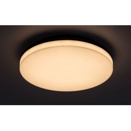 Rabalux - LED Koupelnové stropní svítidlo LED/24W/230V IP54